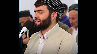 Peshawa Qadr Al-Kurdi | Rahman Suresi | سورة الرحمن | Tilavet Dünyası