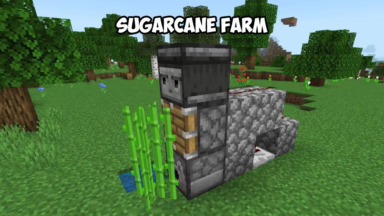 Minecraft Sugar Cane Farm for bedrock edition (mobile) YouTube