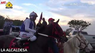 El Mexicano Vs La Alcaldesa