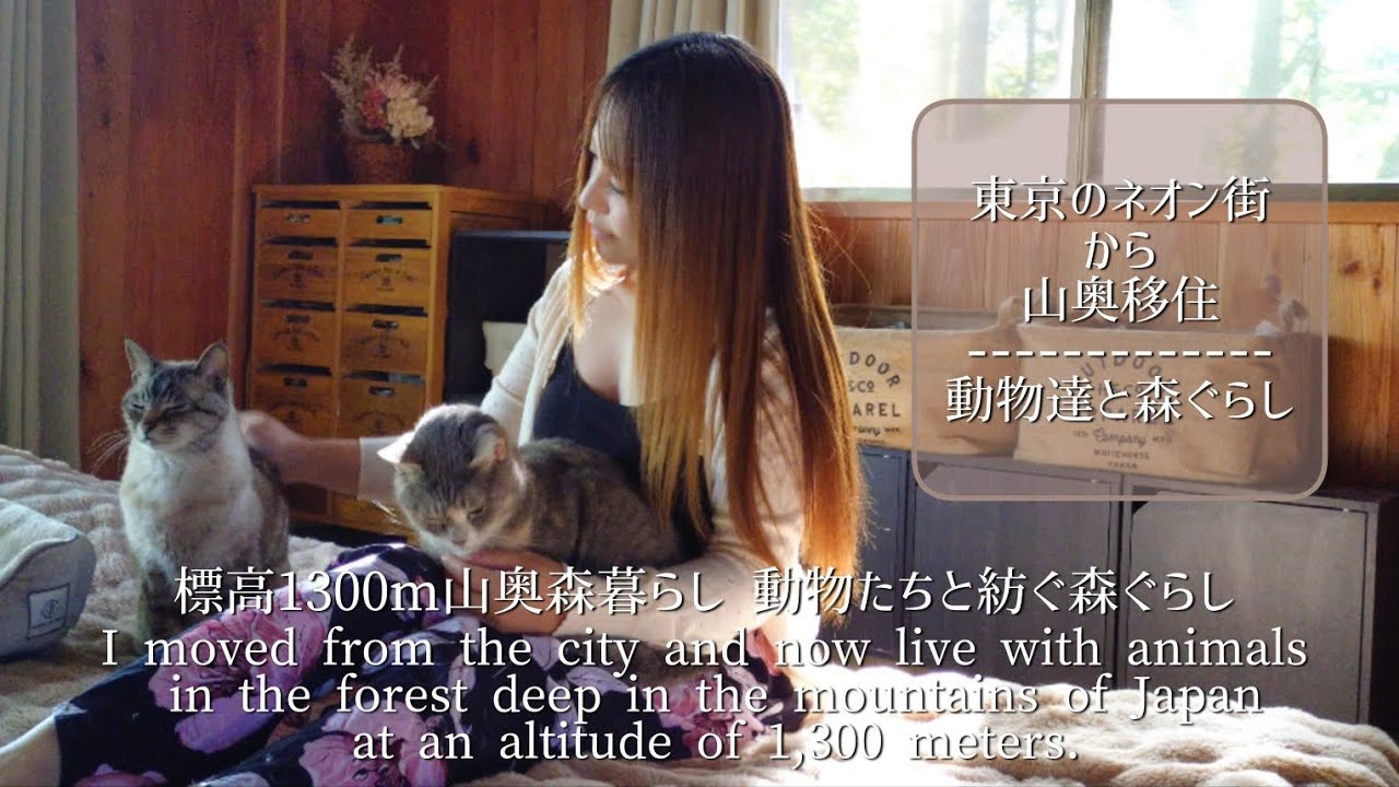 標高1300m山奥森暮らし 動物達と紡ぐ森ぐらし