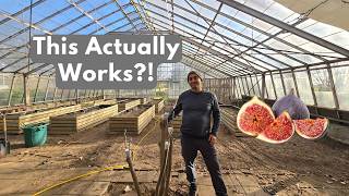 How To Graft Fig Trees! With Results!