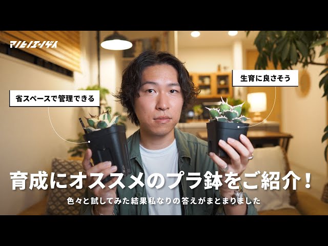 実生株やアガベの育成にオススメのプラ鉢をご紹介！｜アガベ｜チタノタ