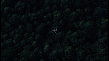 Domingæ - Æ Part I : Æva & Dæmon (excerpts)