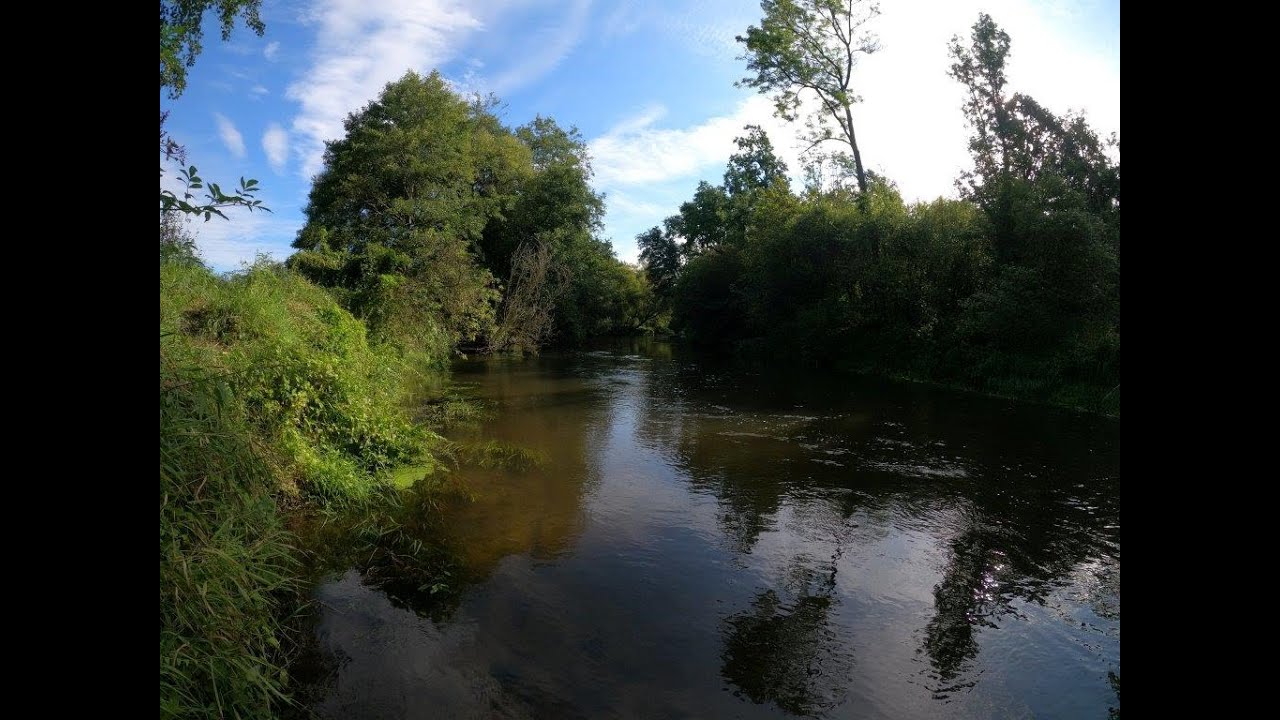Piąteczka z Parsęty