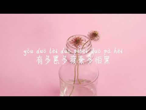 【合照-汪苏泷】HE ZHAO-WANG SU LONG(Silence Wang) /TIKTOK,抖音,틱톡/병음가사,拼音歌词, pinyin lyrics/광고 없음, No AD,无广告