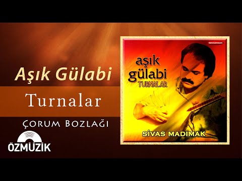 Turnalar (Uzun Hava) - Aşık Gülabi (Official Music Video)