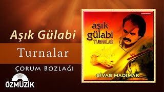 Turnalar (Uzun Hava) - Aşık Gülabi (Official Music Video)