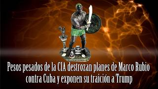 Pesos pesados de la CIA destrozan planes de Marco Rubio contra Cuba y exponen su traición a Trump