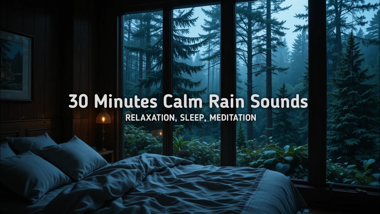30 Minutes Calm Rain Sounds for Relaxation, Sleep and Meditation - YouTube