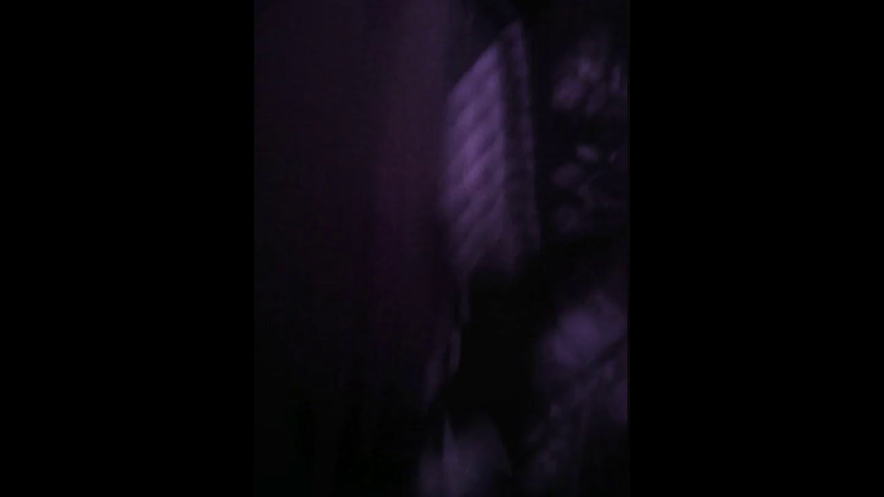 Sol mega 8 en peligro