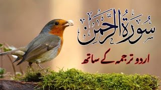 World's most beautiful recitation of SurahAr-Rahman )سورة الرحمن |Zikrullah TV