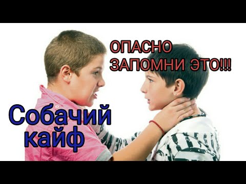 Собачий кайф что это такое