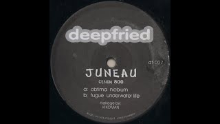 Minimal Techno: juneau - obtima [ deepfried records ] - kikoman