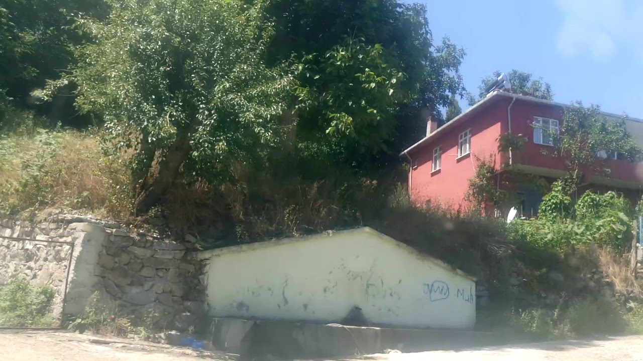 Samsun Vezirköprü Darıçayalanı köyü