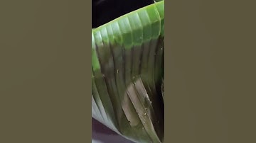 Đặc sản nổi tiếng của người dân tộc thái - Gà Mọ