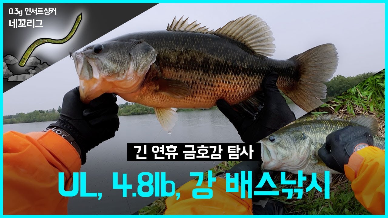 [배스낚시] 