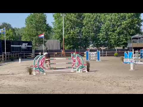 Igor Solier CSI2** Grote Brogel