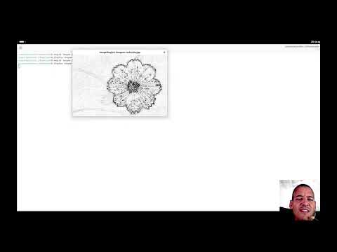 Ultimate Linux Shell Scripting Guide - Cap 13
