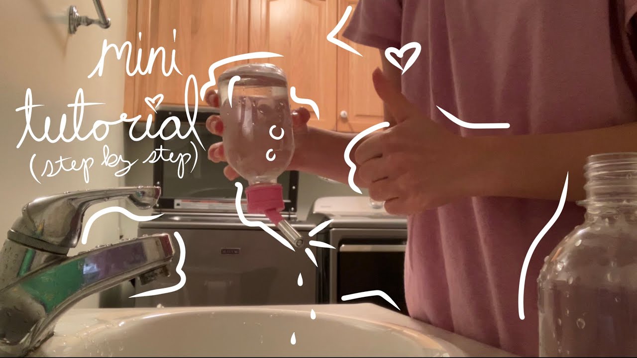 Cleaning My Guinea Pigs’ Water bottles Choco Nose no drip YouTube