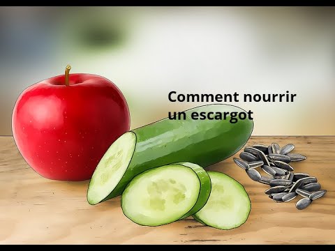 Vidéo: Escargots terrestres domestiques. Comment prendre soin des escargots