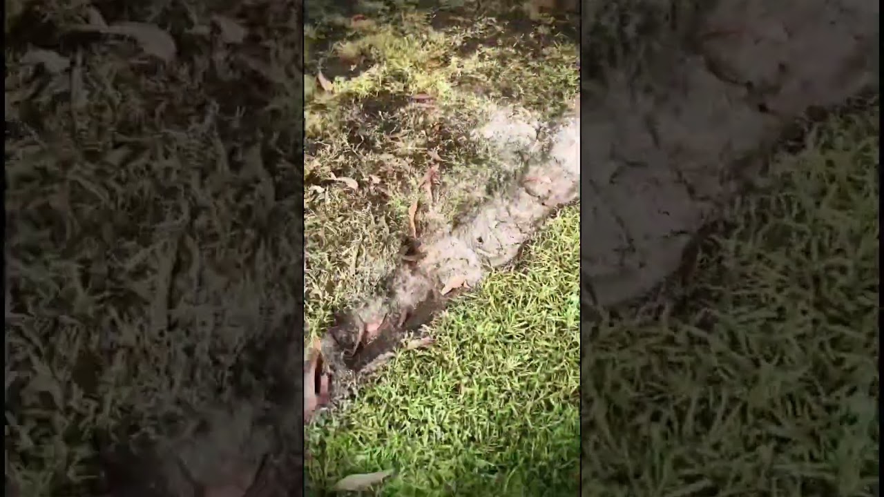 Hand Dug 7m Pond Build Timelapse Part 1 