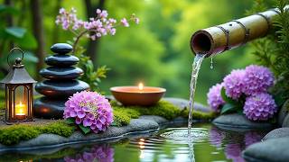 Details Healing Music with Relaxing Water Sounds🌿Calm Your Mind, Anxiety Relief, Healing & Inner Peace #1 News