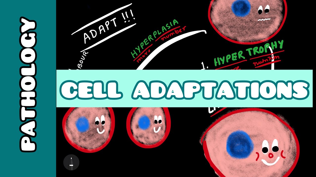 Cell Adaptation | Pathology | Ayan Parichha - YouTube