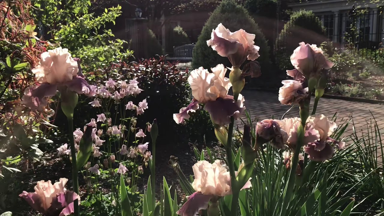 Garden Meditation - YouTube