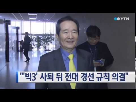 새정치연합, &#39;빅3&#39; 비대위원 사퇴 후 전대 경선 규칙 의결 가닥 / YTN