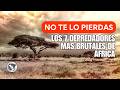 Los Depredadores que Aterrorizan a África | Documental de Vida Silvestre