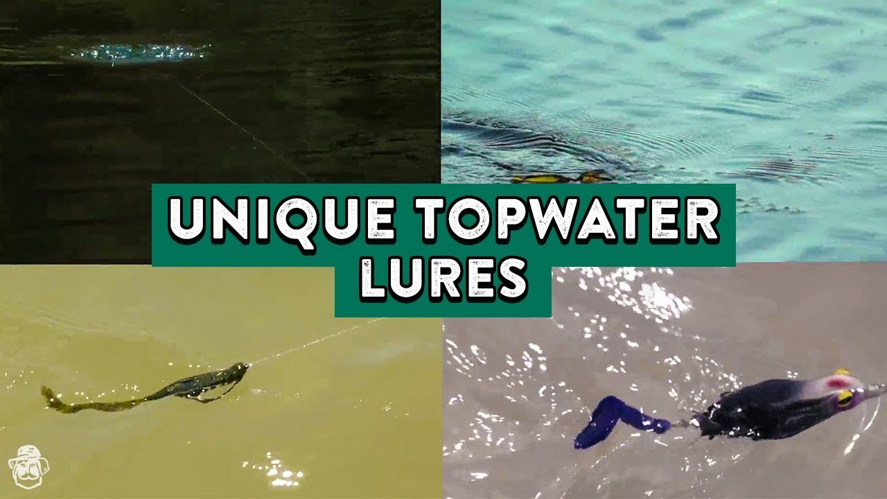 Unique Topwater Fishing Lures | UP CLOSE Look