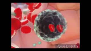Are you know #atomy  Hemohim NK cell #atomyproduct