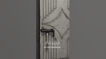 زَعَمَ الَّذِينَ كَفَرُوا أَن لَّن يُبْعَثُوا | القارئ ياسر الدوسري