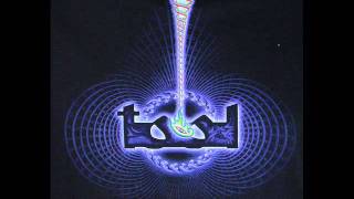 tool stranglehold.wmv