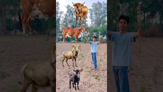 Bail gay bhed bakri #ytshorts #vfx #viral #video #shortsfeed