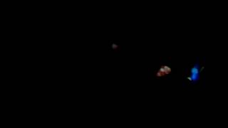 Finding Dory Sneak Peek Ride