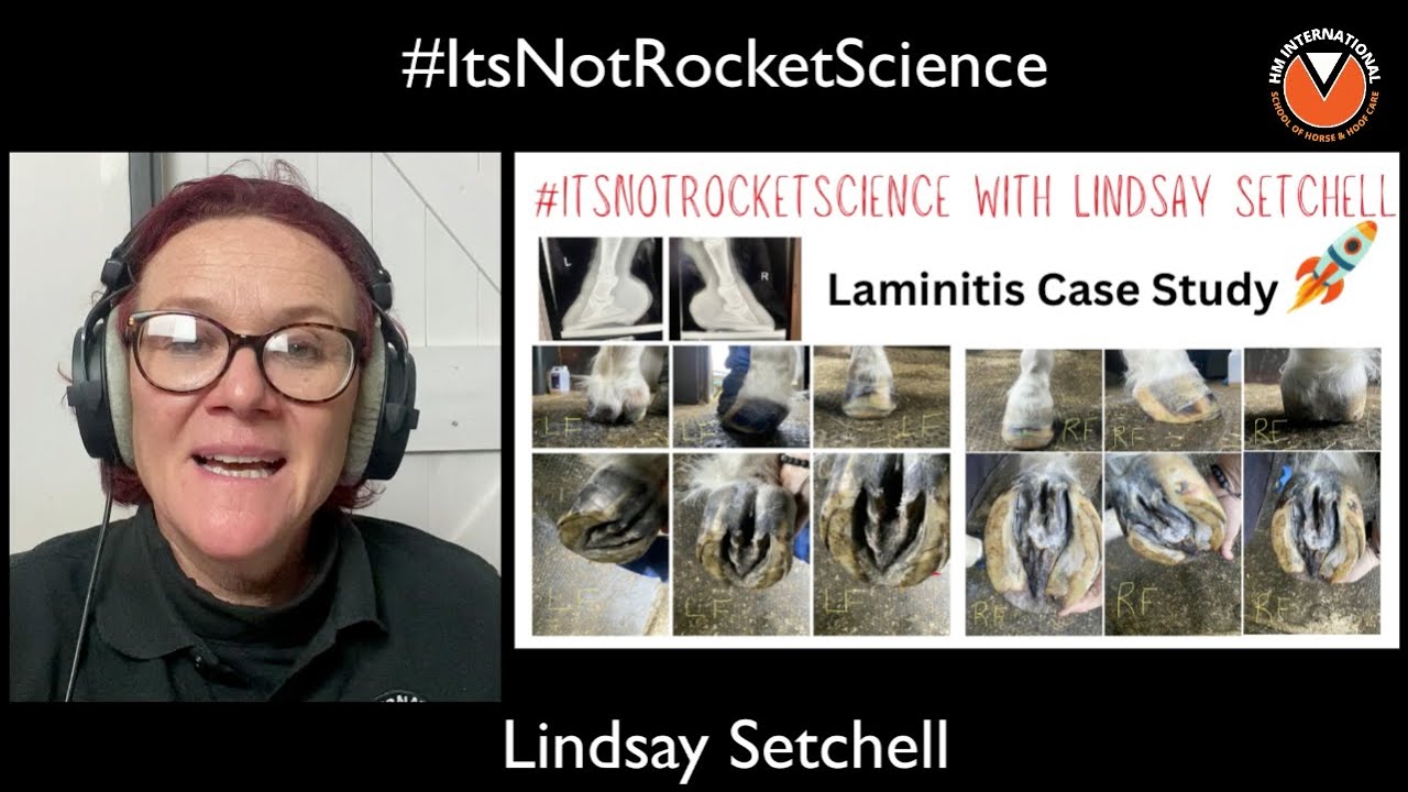 LAMINITIS The WRONG HOOF CARE is an epidemic! (find out the right trim