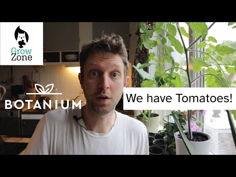 Botanium Self Watering Hydroponic Planter - Plant, Enjoy, Harvest - YouTube