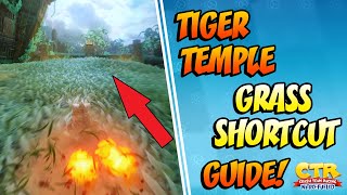 PREPARE FOR THE DEVELOPER TIMES! Tiger Temple Guide | Crash Team Racing Nitro Fueled (CTRNF)