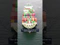 China's ice silk road speeds up shipping by 50% | DW News