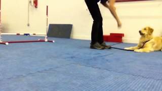 Capture DOWN - Bella - Session 2