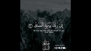 حالات وتس اب دينية | كلا إذا بلغت التراقى | القارئ سلمان العتيبي