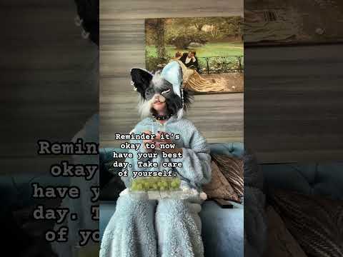 The chillest river day #lofi #travel #music #chillhop #chillday #lofinature