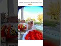 Ranking The Funniest Squirrel Reactions To Spicy Noodles Ranking Funny Animalfood mp3