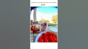 Ranking the Funniest Squirrel Reactions to Spicy Noodles! 🌶️🐿️😂  #ranking #funny #animalfood