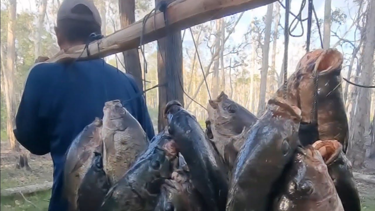 Hanya butuh waktu 2 jam...jaring ikan nila hasilnya sampai di pikul