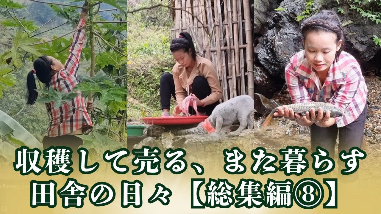 森と川から市場へ｜魚と農作物のある田舎暮らし【総集編⑧】