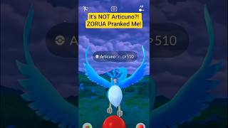NOOO! It’s NOT Articuno?! ZORUA Pranked Me! #PokemonGo #Zorua #ArticunoFake #ZoruaPrank #EpicTroll NOOO! It’s NOT Articuno?! ZORUA Pranked Me! #PokemonGo #Zorua #ArticunoFake #ZoruaPrank #EpicTroll