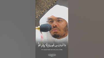 مَا أَصَابَ مِن مُّصِيبَةٍ إِلَّا بِإِذْنِ اللَّهِ ۗ  | ما تيسر من سورة التغابن | أ.د #ياسر_الدوسري