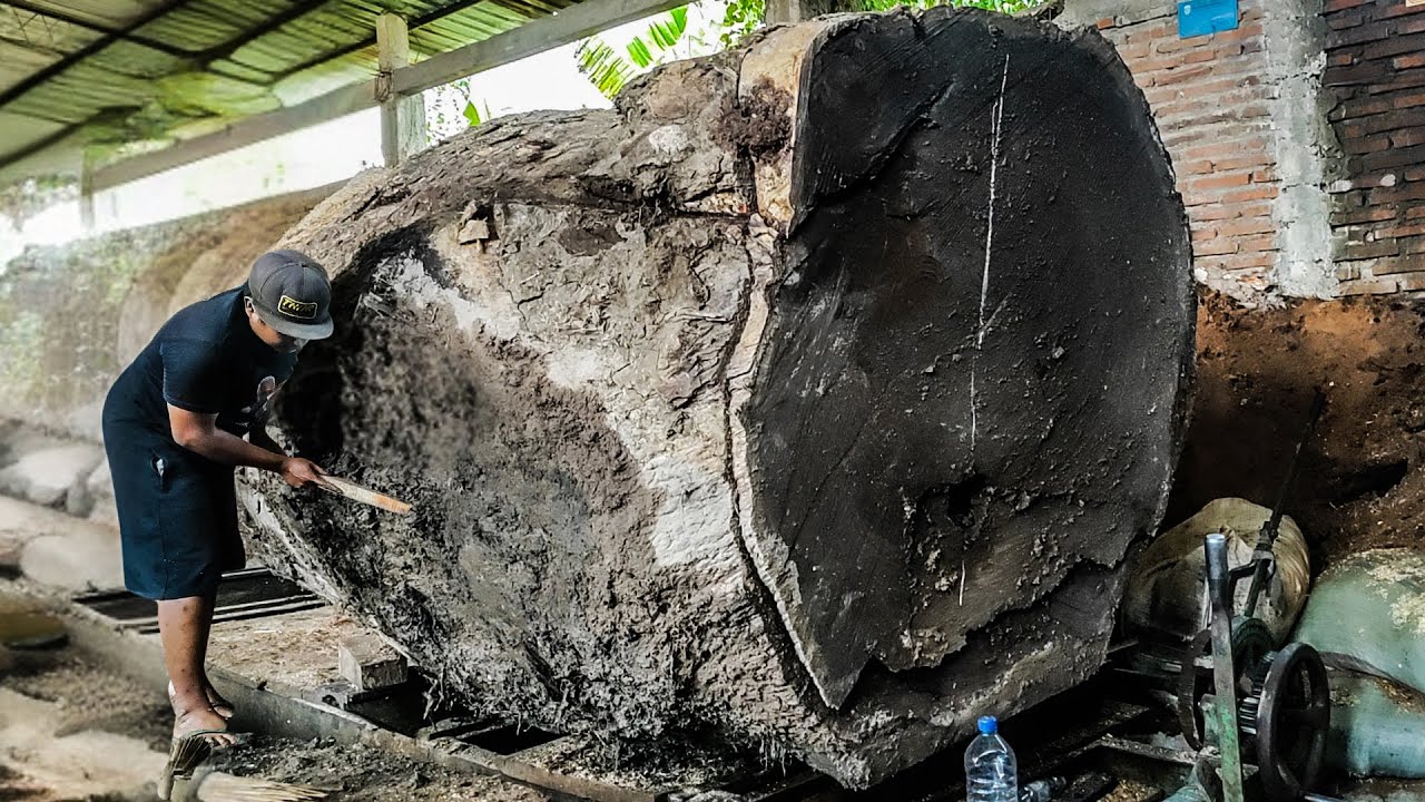 Trembesi Wood Milling in San Francisco ‼ A Day in the Life of a Sawyer